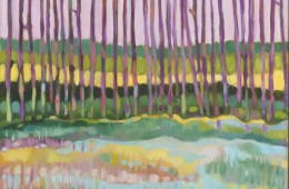 Myakka Woods and Pond