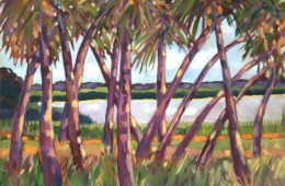 View From Terra Ceia