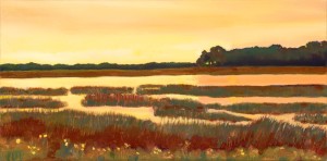 ChinnisJ- Myakka Daybreak