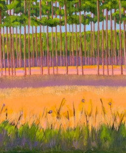 Myakka Woods and Field