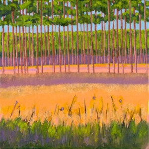 ChinnisJ- Myakka Field n Weeds