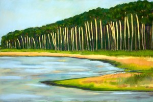 ChinnisJ-Myakka Sunlight n Shadows 880 v1